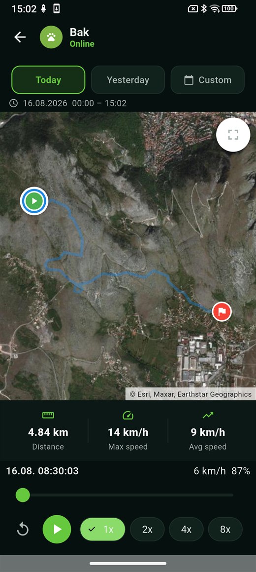 Movement history: the dog’s track drawn over the map.